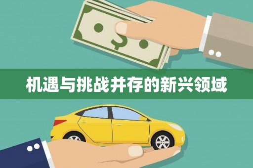 钦北机遇与挑战并存的新兴领域