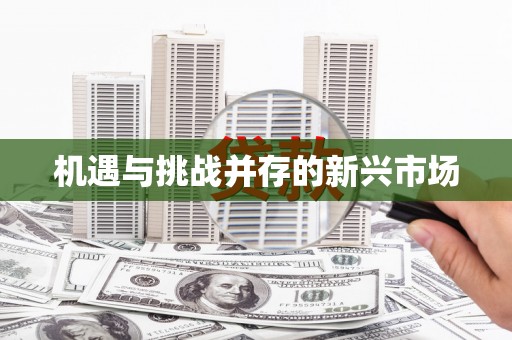 钦北机遇与挑战并存的新兴市场