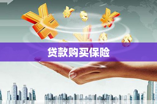 钦北贷款购买保险