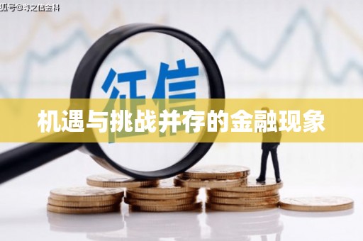 钦北机遇与挑战并存的金融现象