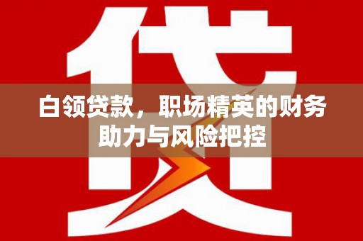 钦北白领贷款，职场精英的财务助力与风险把控